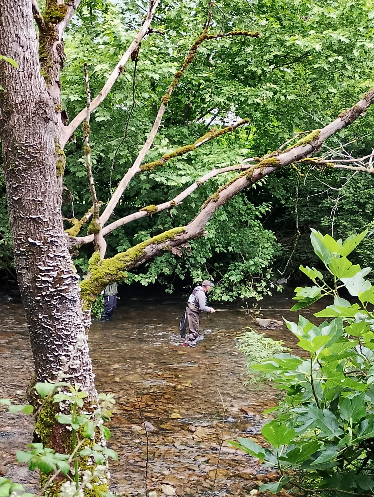 Clasificación final Campeonato Navarro Salmónidos Mosca Dúos
